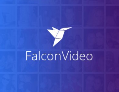 Видеосток «Falcon Video»